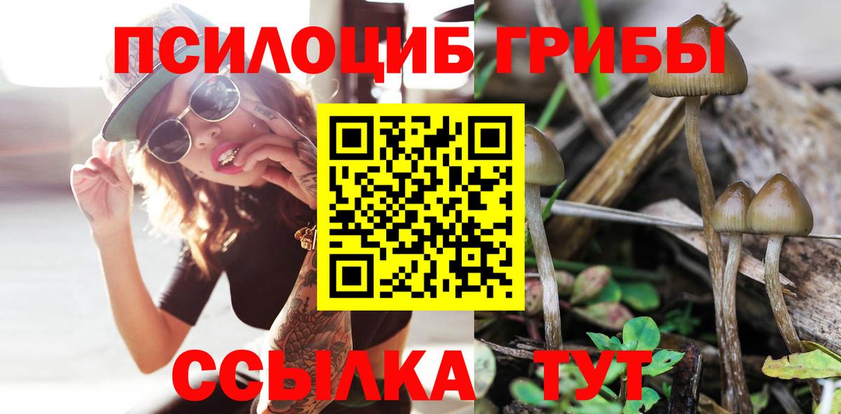 Нурлат  Галлюциногенные грибы GOLDEN TEACHER  Вход с VPN 